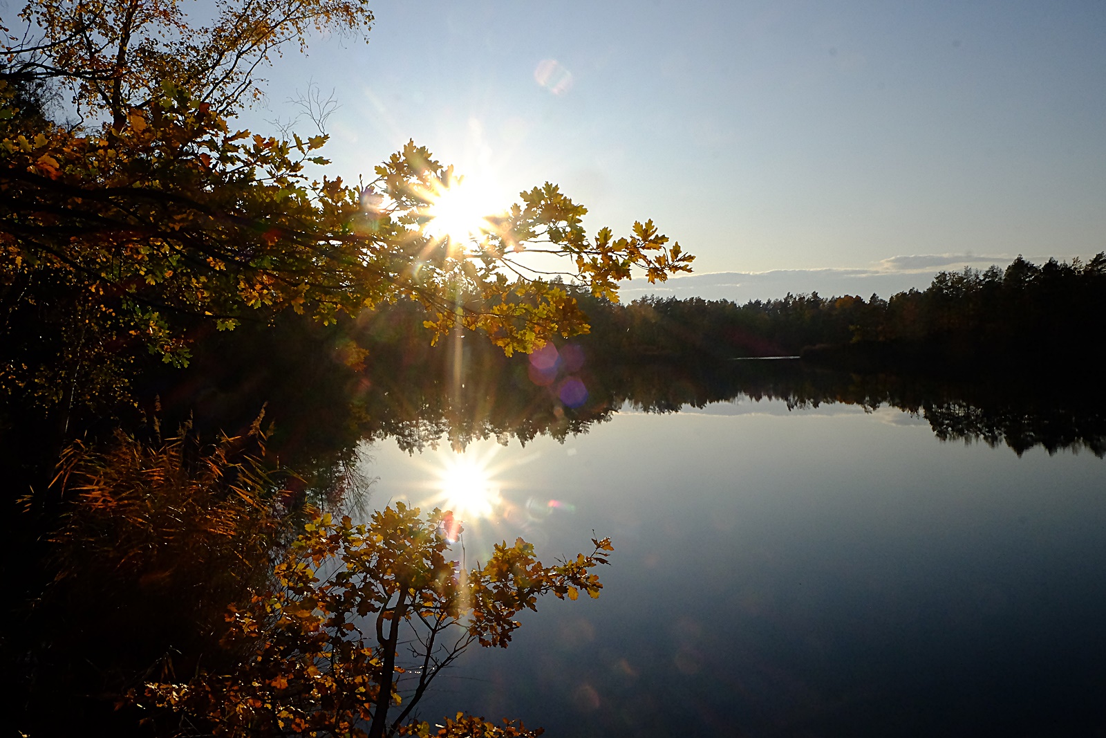 Herbst- spaziergang 10.11 (61)