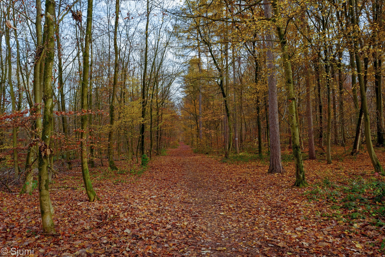 Herbst Spaziergang 2