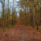 Herbst Spaziergang 2