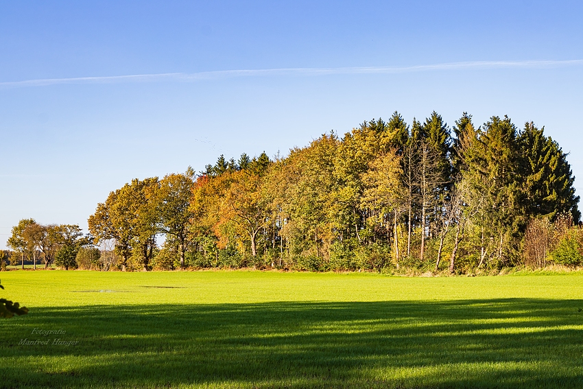 Herbst-Spaziergang / 211024 / 02