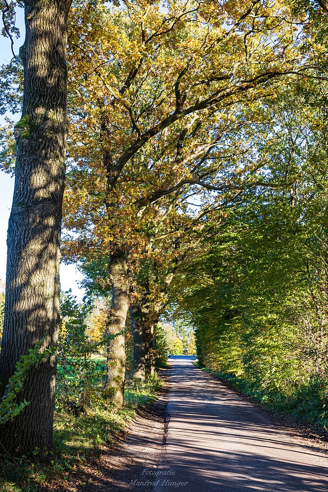 Herbst-Spaziergang / 211024 / 04