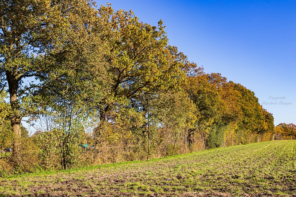 Herbst-Spaziergang / 211024 / 06