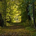 Herbst Spaziergang