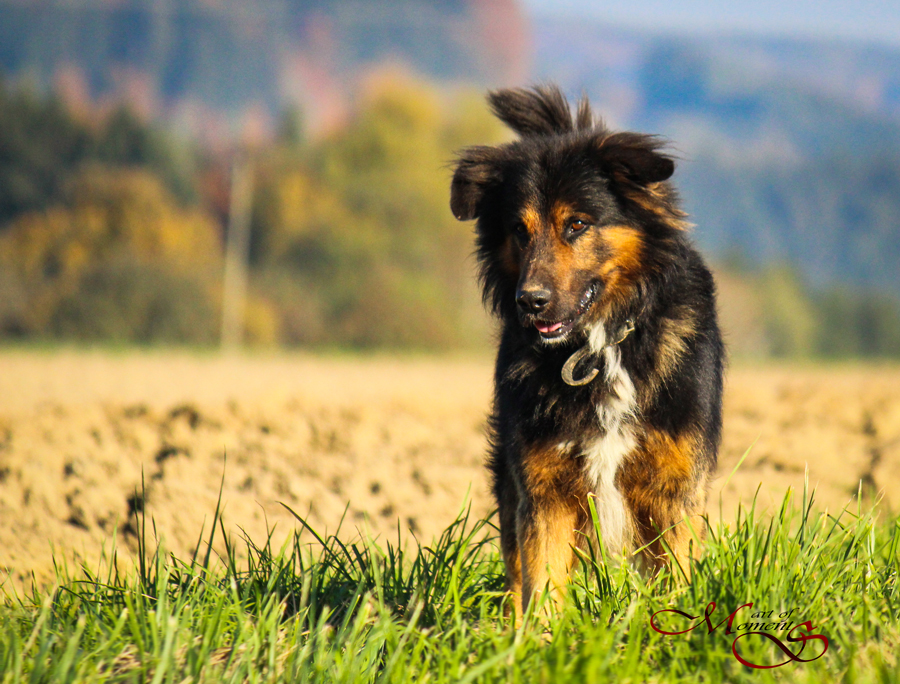 Herbst Spaziergang