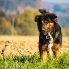 Herbst Spaziergang