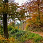 Herbst Spaziergang 