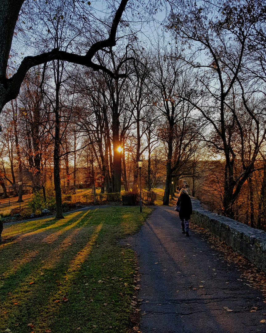 "Herbst-Spaziergang"