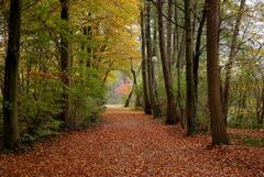 Herbst-Spaziergang