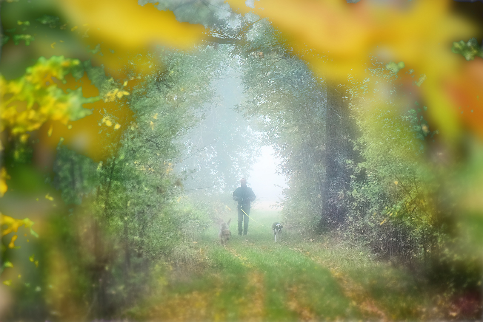 Herbst-Spaziergang