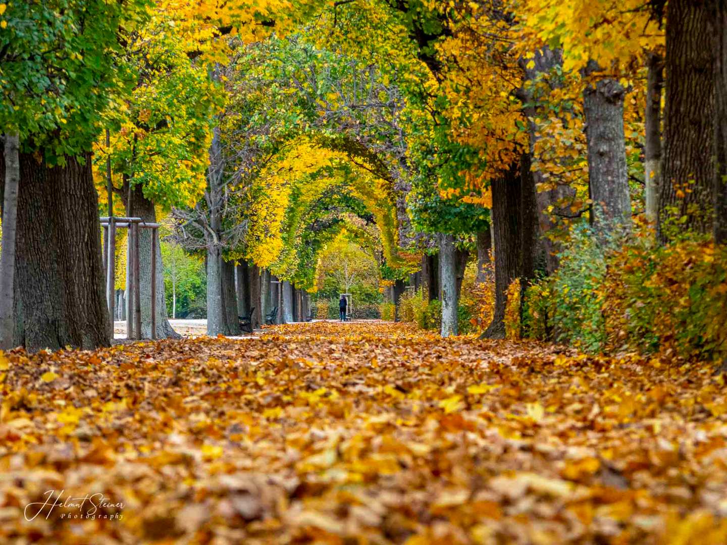 Herbst Spaziergang