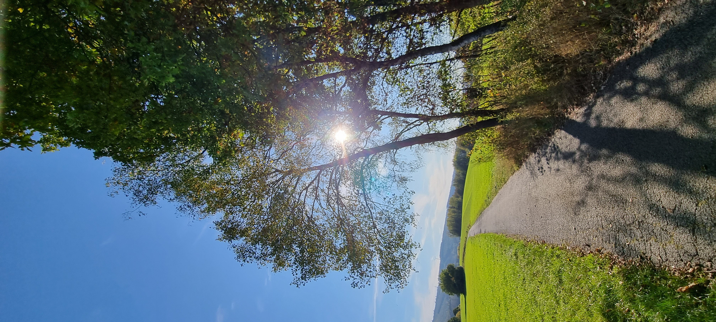 Herbst Spaziergang 