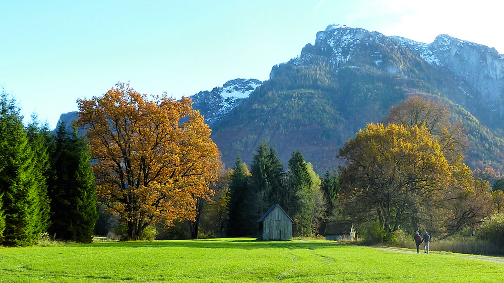 Herbst- Spaziergang