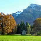 Herbst- Spaziergang