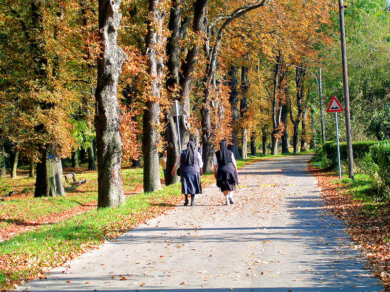 Herbst-Spaziergang