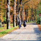 Herbst-Spaziergang