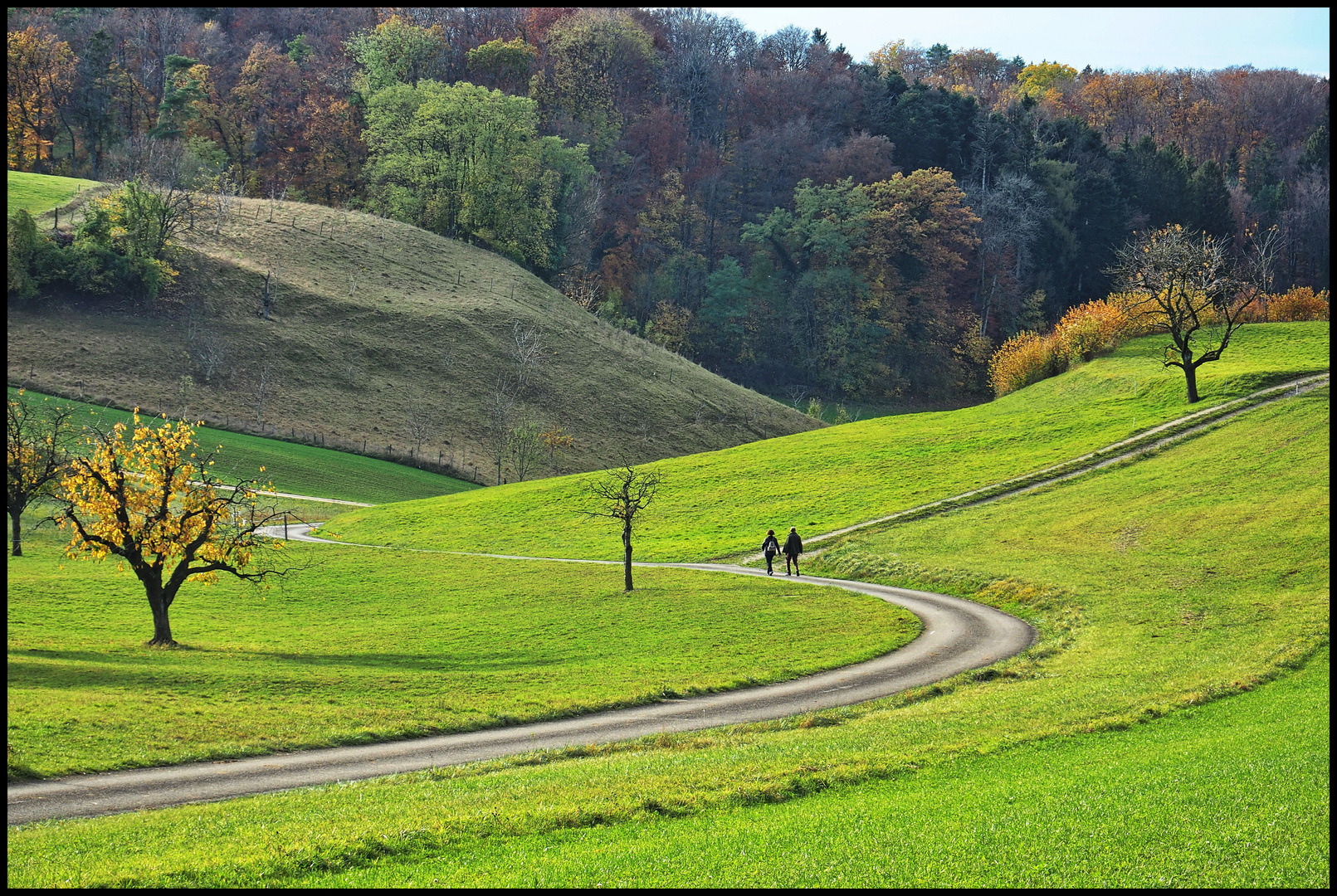 Herbst-Spaziergang