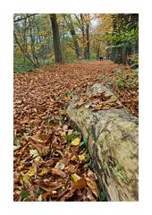 Herbst-Spaziergang