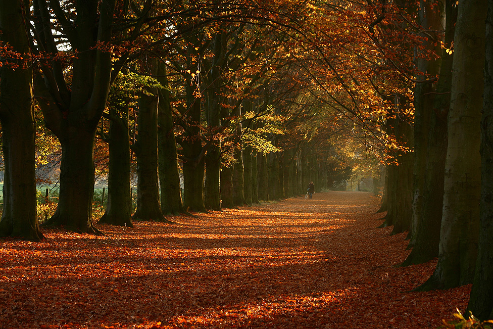 ~ Herbst-Spaziergang ~