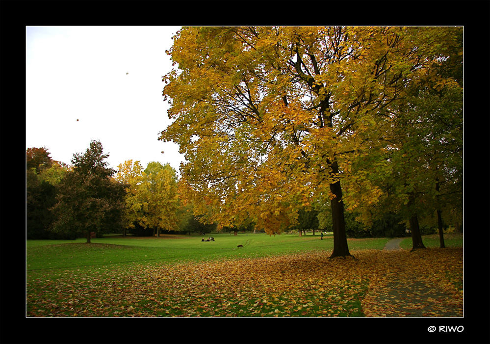 Herbst Spaziergang.... :-))