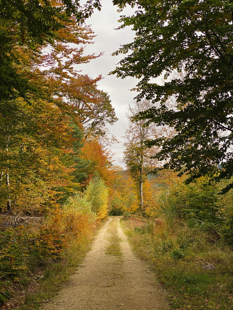 Herbst Spaziergang 