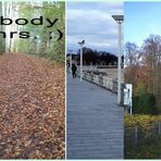 Herbst - Spaziergang