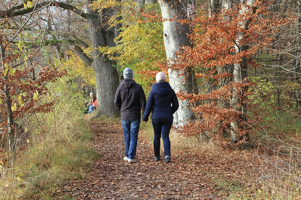 Herbst-Spaziergang