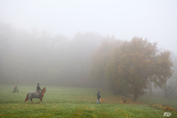 Herbst-Spaziergang im Nebel 2