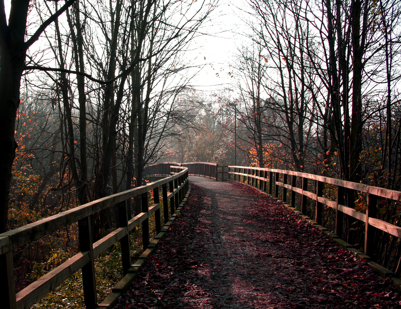 Herbst Spaziergang in Lünen