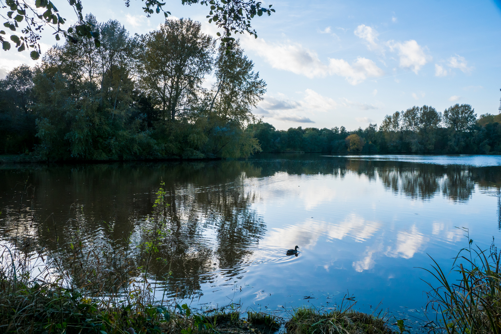 Herbst-Spaziergang um den Drielaker See