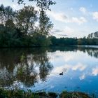 Herbst-Spaziergang um den Drielaker See