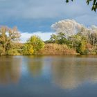 Herbst-Spaziergang um den Drielaker See