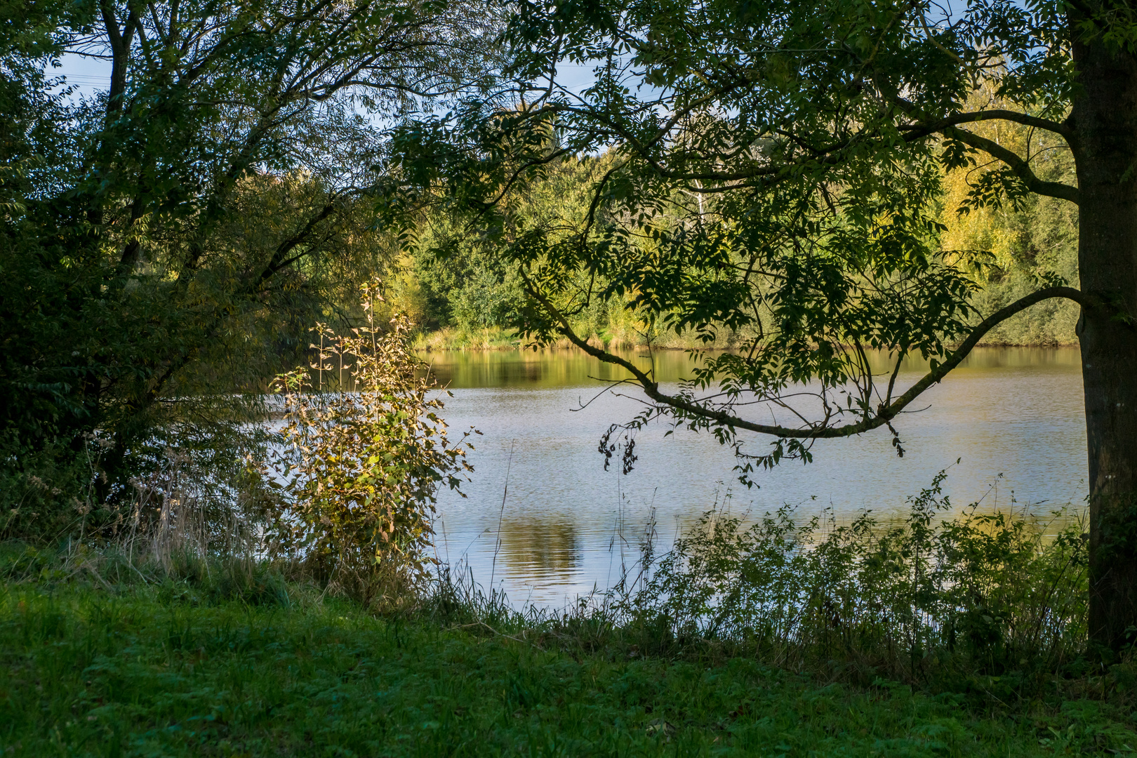 Herbst-Spaziergang um den Drielaker See