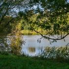 Herbst-Spaziergang um den Drielaker See