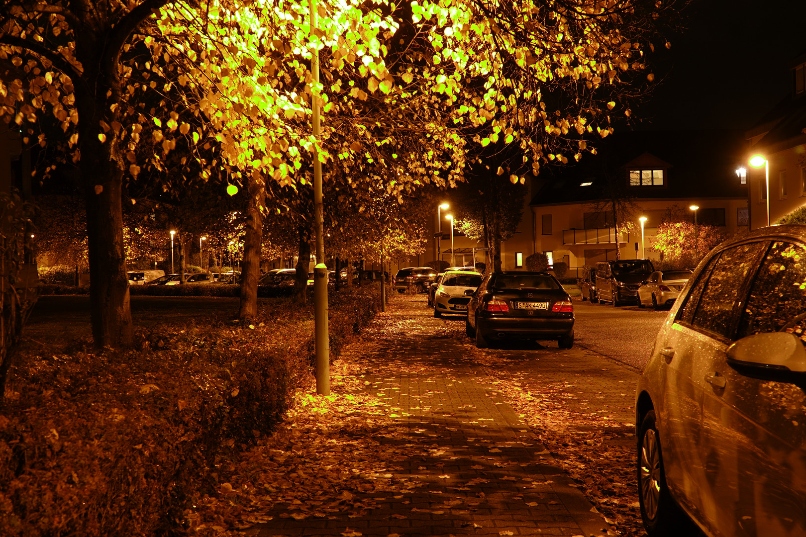 Herbst Spaziergang um die Ecke 