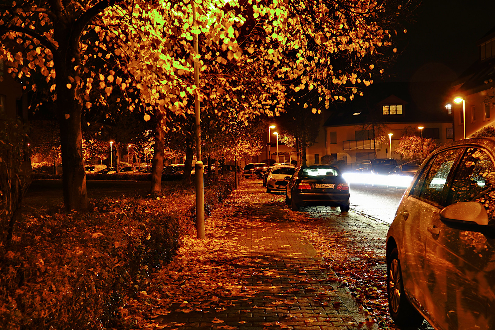 Herbst Spaziergang um die Ecke 