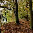 Herbst-Spaziergang Waldsee (1)