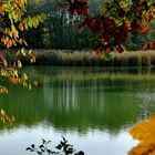 Herbst-Spaziergang Waldsee (3)