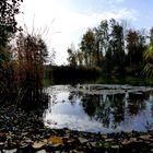 Herbst-Spaziergang Waldsee (4)