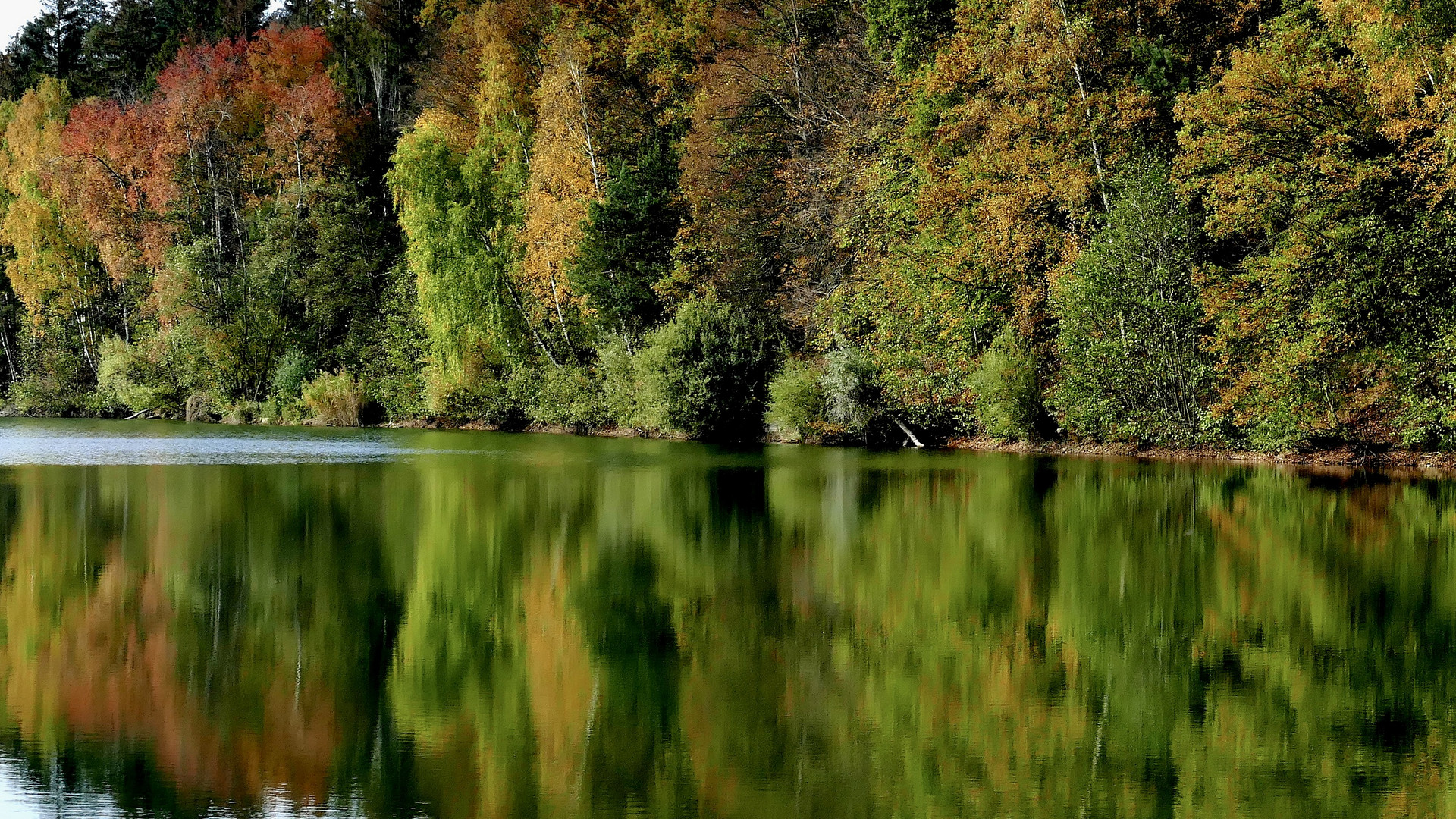 Herbst-Spaziergang Waldsee (6)