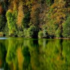 Herbst-Spaziergang Waldsee (6)