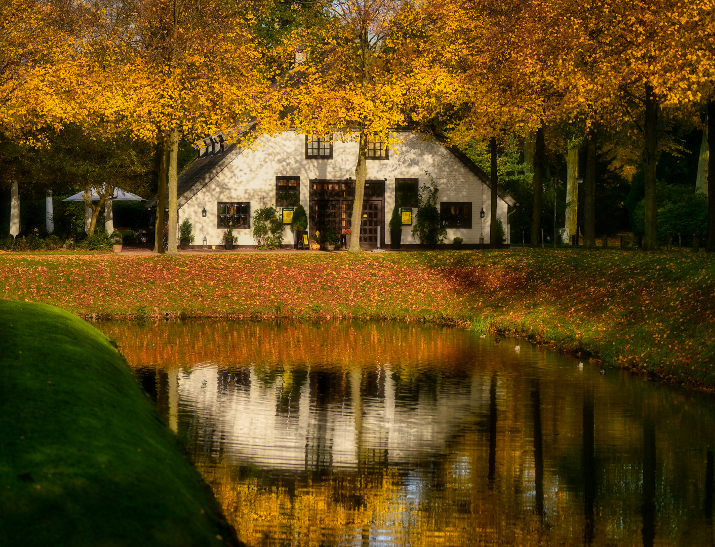 Herbst-Spiegel