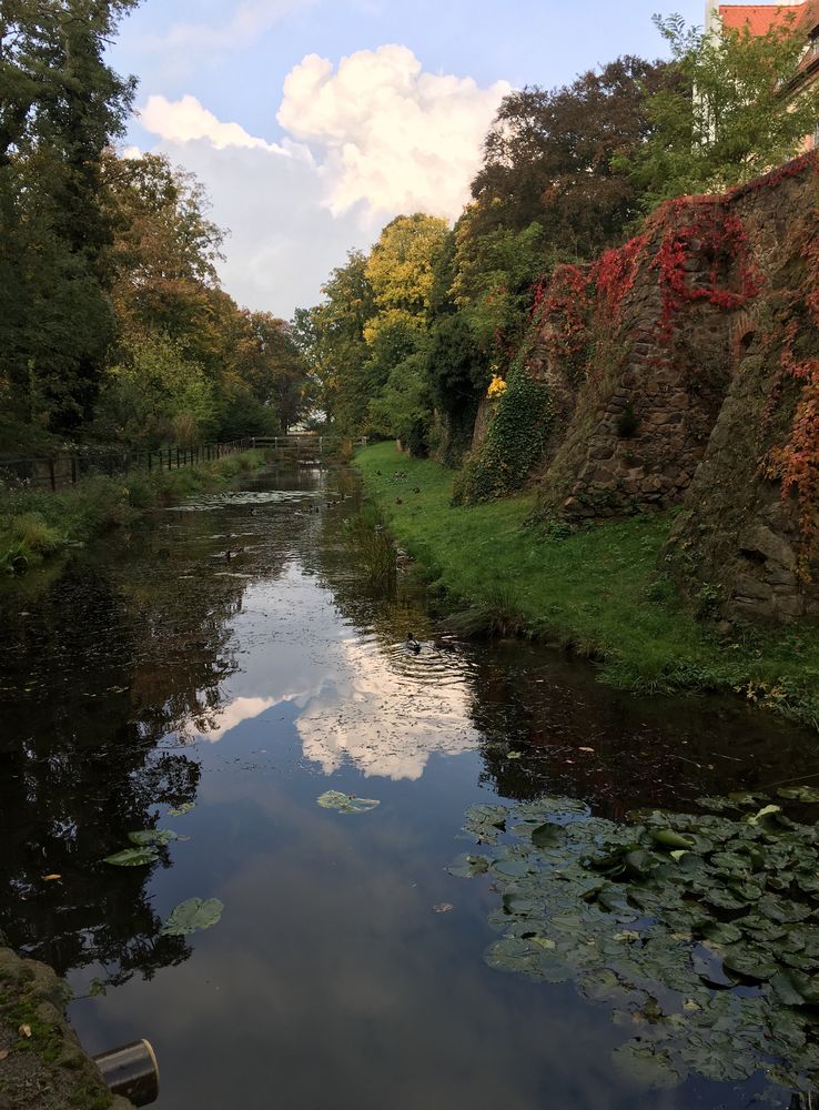 Herbst - Spiegel