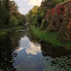 Herbst - Spiegel