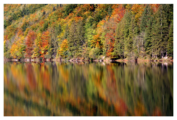 Herbst-Spiegel