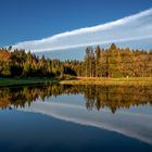 Herbst-Spiegel