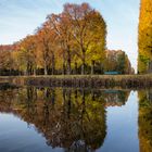 Herbst - Spiegel