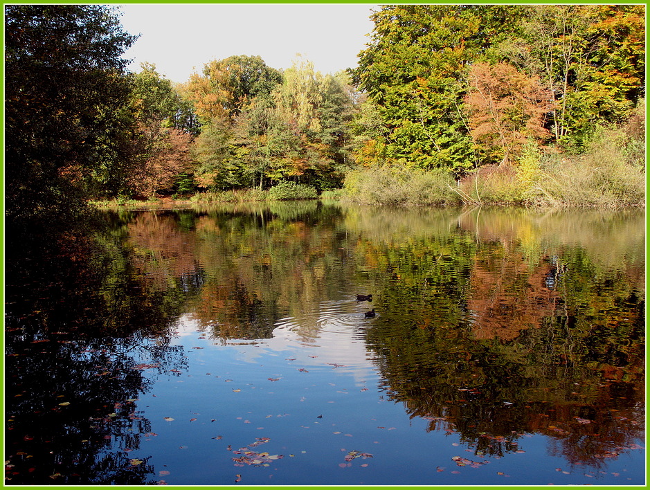 Herbst-Spiegel IV