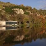 Herbst-Spiegelung