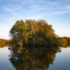 Herbst-Spiegelung