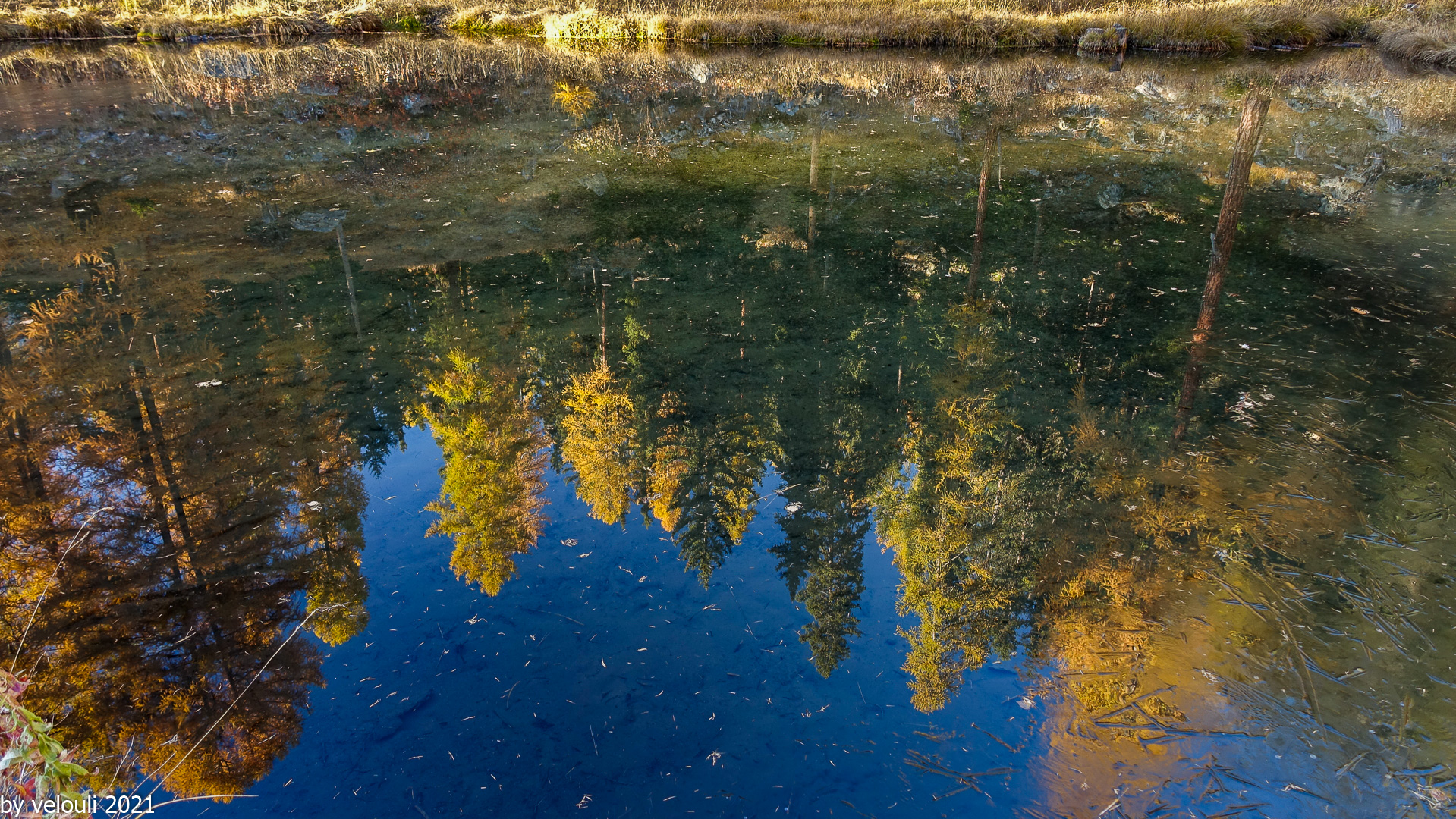 Herbst-Spiegelung